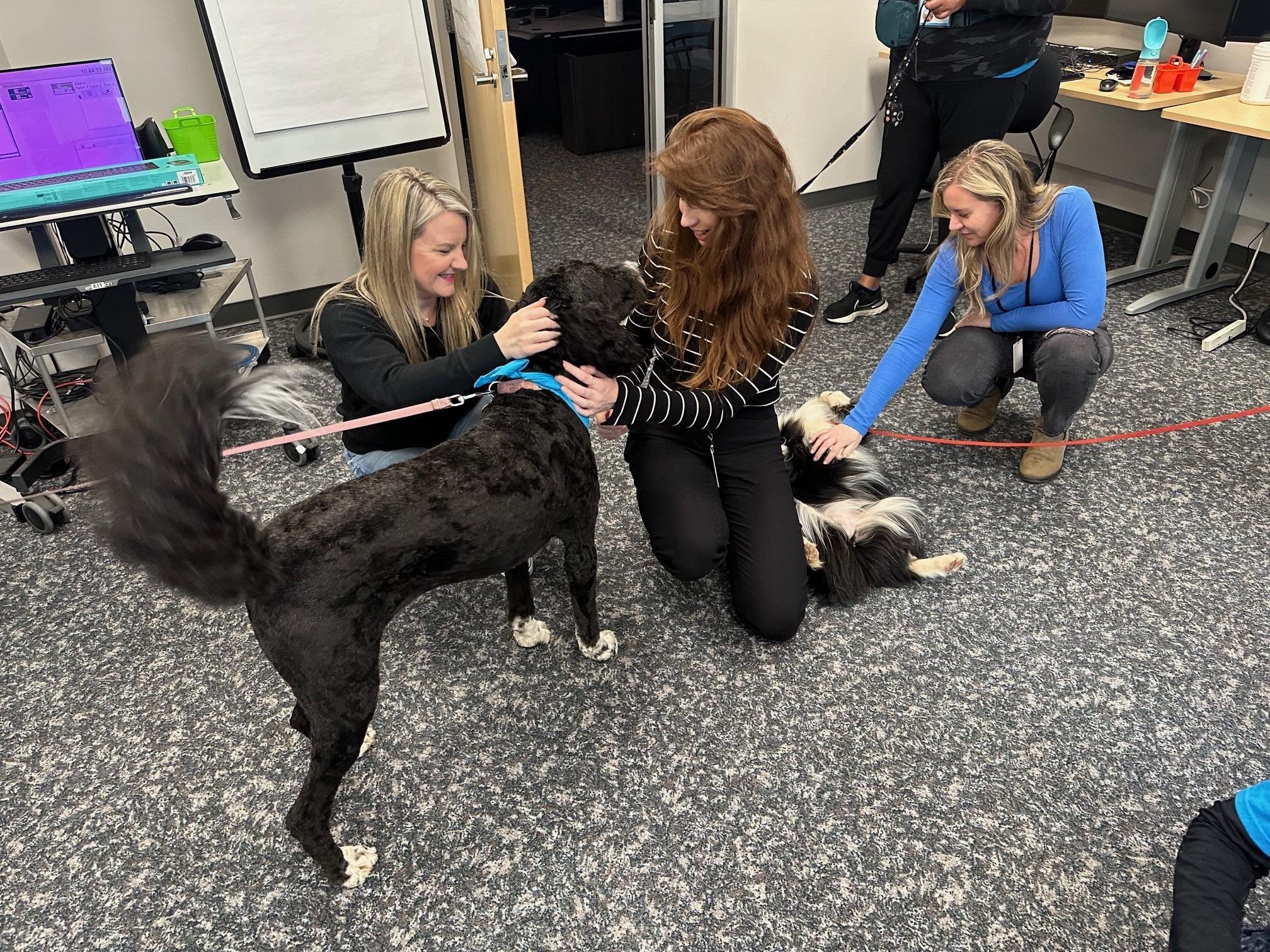 Three women sit and crouch on the floor petting two black and white dogs on leashes. 